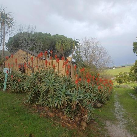 Swaynekloof Farm Villa Botrivier Eksteriør billede