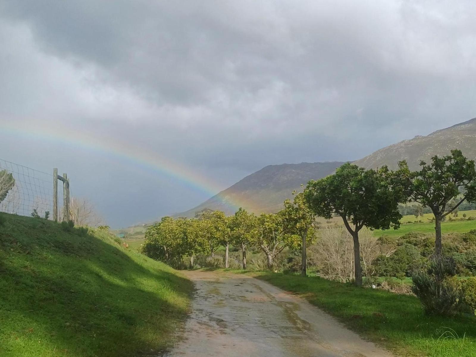 Swaynekloof Farm Villa Botrivier Eksteriør billede