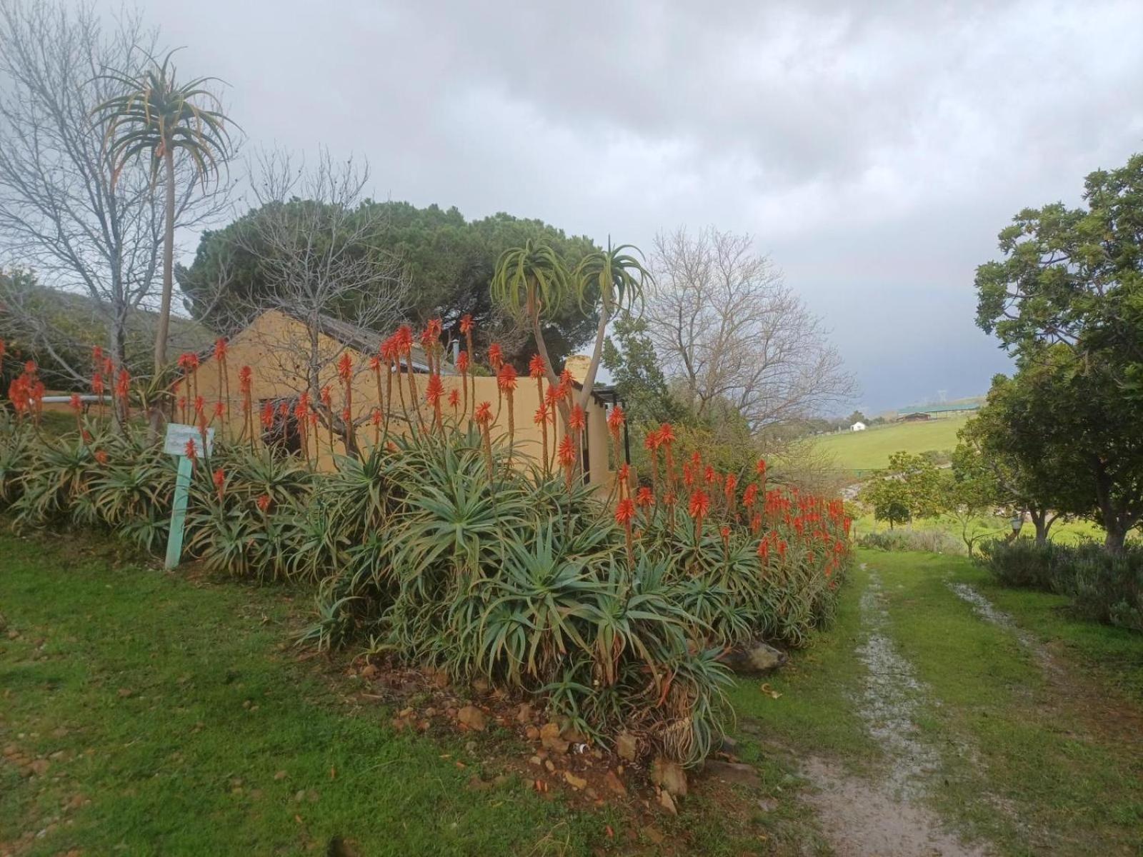 Swaynekloof Farm Villa Botrivier Eksteriør billede